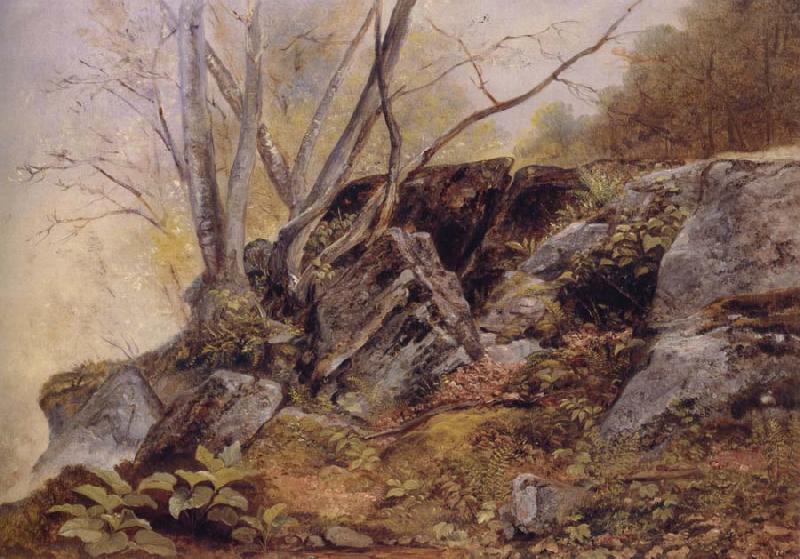 Asher Brown Durand Study from Nature,Bronxville china oil painting image